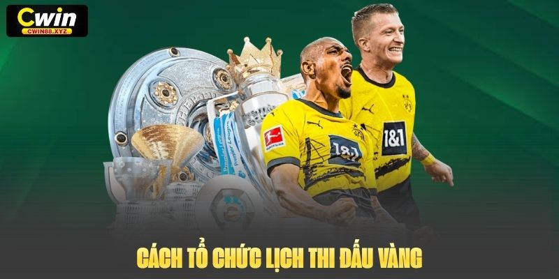 Cách tổ chức lịch thi đấu Vàng