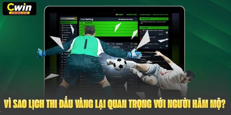 Vì sao lịch thi đấu Vàng lại quan trọng với người hâm mộ?